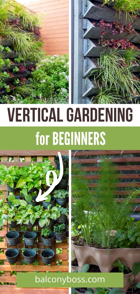 Small Sustainable Garden, Verticle Gardening Vegetables, Balcony Hacks, Vertical Flower Garden, Garden Decorations Ideas, Birmingham House, Urban Gardening Balcony, Diy Vertical Garden, Vertical Herb Gardens