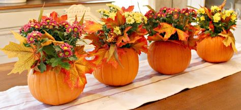 5 Minute Pumpkin Centerpieces Use 5-6" pumpkin & cut 4" opening on the top. Don't bother taking out the seeds. Fill with a small amount of 'soil'. Take fall 'mums' out of planting pot & place them in the soil. Now add (Dollar Store) fall 'leaves' as fillers. Water your new centre piece. If water seeps out just let it drain a bit. Wedding Table Centerpieces Diy, Fall Pumpkin Centerpieces, Table Centerpieces Diy, Fall Centerpieces, Fall Mums, Fall Table Centerpieces, Centerpieces Diy, Thanksgiving Decorations Diy, Succulent Centerpieces