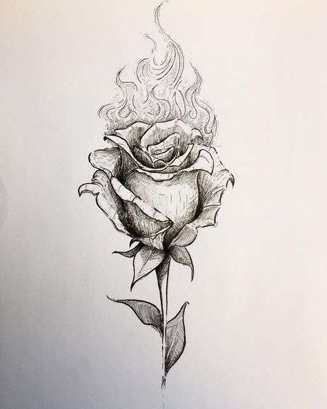 Flaming Rose Drawing, Flower On Fire Drawing, Rose Drawing Tattoo, Forest Tattoos, Drawing Tattoo, Heart Tattoo Designs, Rose Drawing, Roses Drawing, Pencil Art Drawings