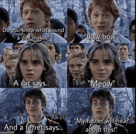 37 Harry Potter Memes for Hogwarts Students Spending the Holidays Festively Feasting in the Great Hall - Geek Universe - Geek | Fanart | Cosplay | Pokémon GO | Geek Memes | Funny pictures Harry Potter And His Friends, Meme Harry Potter, Harry Potter Funny Pictures, Citate Harry Potter, Stile Harry Potter, Harry Potter Parody, Glume Harry Potter, Funny Harry Potter Jokes, Harry Potter Memes Hilarious