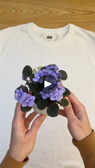 47K views · 1.9K reactions | I think it’s time to revisit my experiment from 2022. I wanted to see how natural prints, made by simply hammering fresh leaves and flowers, would hold up with regular washing. Here’s a fun recap video of a six-month process, where I hammered one layer, wore the shirt, washed it, added another layer, wore it, washed it, and repeated. All with just a cotton shirt, fresh botanicals, and a hammer. This is my favorite piece, serving as proof that it works. It fades beautifully, and this is my path now. If you want to see more details, my next post will include all the layers recorded separately + new ones!

#NaturalDye 
#HammeredFlowers 
#SustainableFashion 
#EcoFriendlyArt 
#BotanicalPrints 
#DIYClothing 
#SlowFashion 
#TextileArt 
#PlantArt 
#FashionExperiment 
# Hammer Flowers, Hammered Flowers, Natural Prints, Recap Video, Eco Friendly Art, Six Month, Plant Art, Nature Prints, Natural Dyes