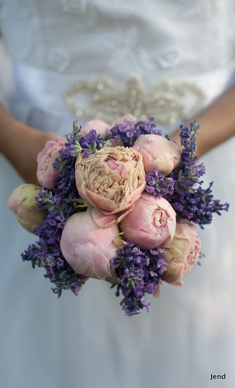 Lavander and peony Peonies And Lavender, Peony Wedding, Daffodils, Provence, Peonies, Floral Arrangements, Bouquets, Flower Arrangements, Love Story