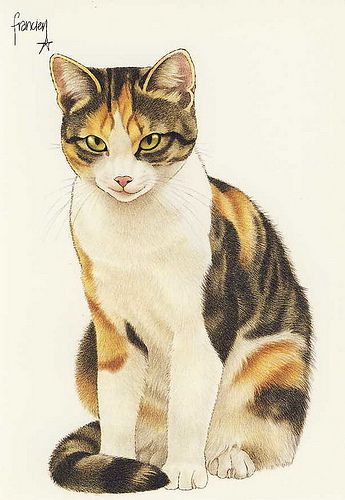 Cat Sketch Simple, Cat Sketch Easy, Cat Pencil Sketch, Illustration Art Cat, Cute Cat Sketch, Cat Illustration Art, Sketch Cat, Sketch Simple, Draw A Cat