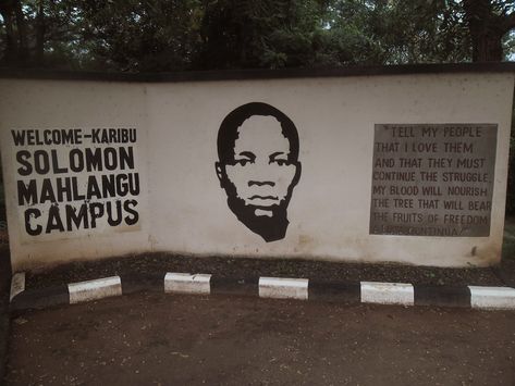 Solomon Mahlangu, Environment Activities, Tourism Management, Lectures Hall, Black Knowledge, Business Studies, Banking Services, Information And Communications Technology, Social Services