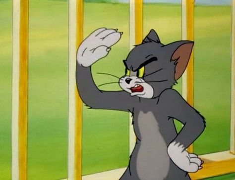 Angry Aethestic, Tom Angry, Tommy Jerry, Tom Cartoon, Tom And Jerry Funny, Tom And Jerry Memes, Tom And Jerry Pictures, Cutest Cats Ever, Comedy Pictures