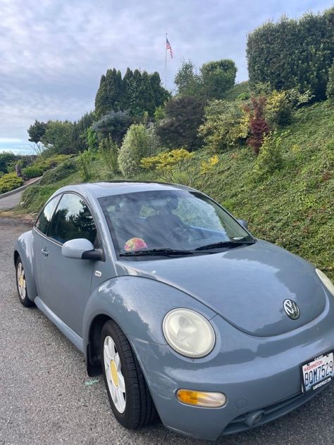 Punchbuggy Aesthetic, Aesthetic Volkswagen Beetle, Beetle Bug Car Aesthetic, Buggy Car Aesthetic, Volts Wagon Beetle Aesthetic, Cute Affordable Cars, Cute Car Exterior, Bettle Volkswagen Aesthetic, Beatle Cars