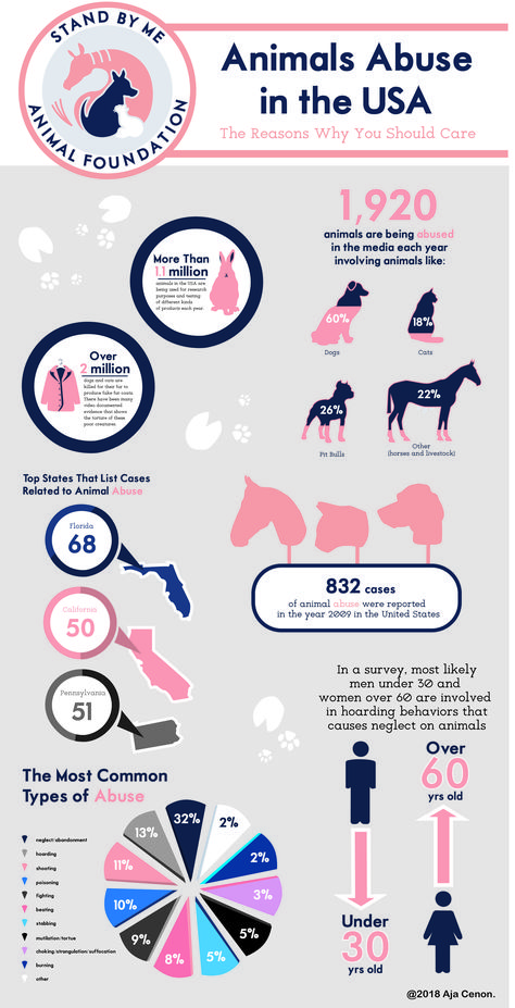 Animal Information Poster, Animal Infographic Design, Pet Infographic, Dogs Infographic, Informational Poster, Ar Book, English Poster, Infographic Ideas, Dog Infographic