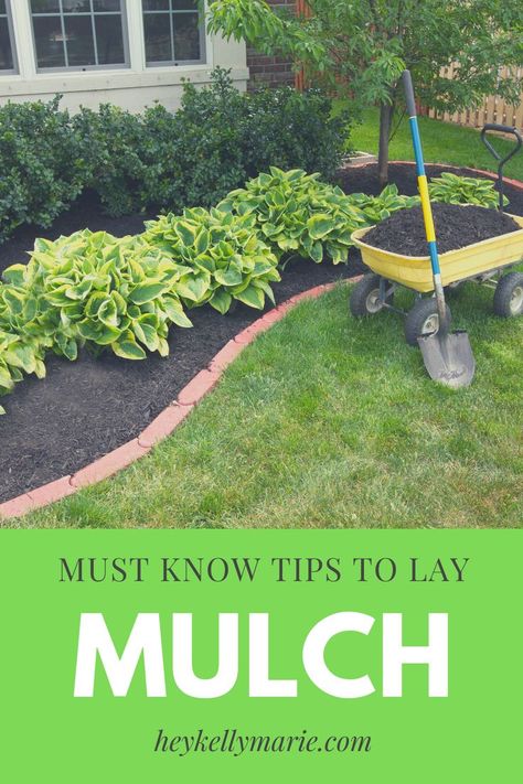 Front Yard Flower Bed, Types Of Mulch, Mulch Landscaping, Northern Nevada, Growing Strawberries, Strawberry Plants, Free Plants, Landscaping Tips, Diy Landscaping