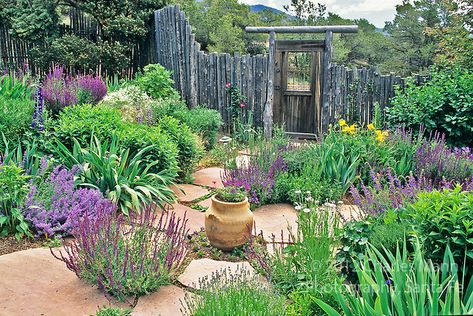 Southwest Garden, High Desert Landscaping, Landscape Gardening, Drought Tolerant Garden, Drought Tolerant Landscape, Desert Garden, Landscaping Tips, Landscape Projects, Desert Landscaping