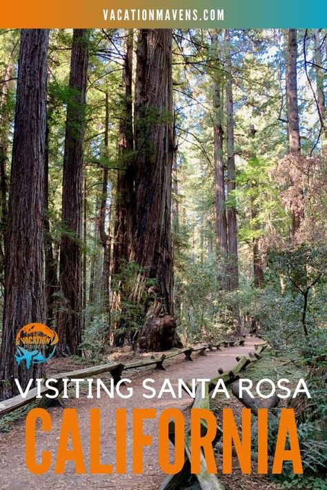 Whether you are planning a girls' trip or family vacation to Santa Rosa or Sonoma's Wine Country in Northern California, you need to listen to this podcast episode to hear all about the fun things to do with kids (and grown ups) from wine tasting to zip lining to glamping with the animals at Safari West. #sponsored #allianzfamilytravel #santarosa #california #wineccountry #sonoma Safari West Santa Rosa, California Beach Vacation, Santa Rosa California, California Winery, Mother Daughter Trip, Sonoma Wine Country, Visit Santa, Family Vacation Destinations, California Travel Road Trips