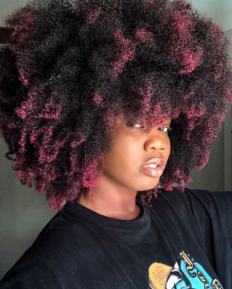 20 Fall Hair Colors & Ideas Using Temporary Hair Dye Only Hair Ideas For Natural Hair, Afro Hair Dye, Dyed Hair Ideas, Gold Hair Dye, Green Hair Dye, Cabello Afro Natural, Dyed Tips, Hair Dye Tips, Cute Natural Hairstyles