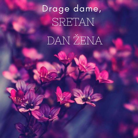 Sretan 8 Mart Dan Zena, Dan Žena Čestitke, Majcin Dan, Dan Zena, Sretan Rodendan, Happy Birthday Wishes Sister, Free Happy Birthday Cards, 8. Mart, 8 Mart