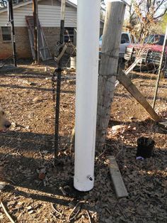 PVC Pig Waterer Diy Pig Waterer, Hog Waterer, 4h Livestock, Pig Feeder, Pig Waterer, Kune Kune Pigs, Livestock Showing, Pig Ideas, Water To Drink