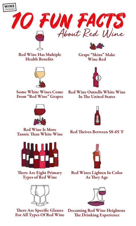 Wine Etiquette, Types Of Red Wine, Red Wine Decanter, Wine Facts, 10 Fun Facts, Wine Journal, Wine Flavors, Wine Knowledge, Wine Food Pairing