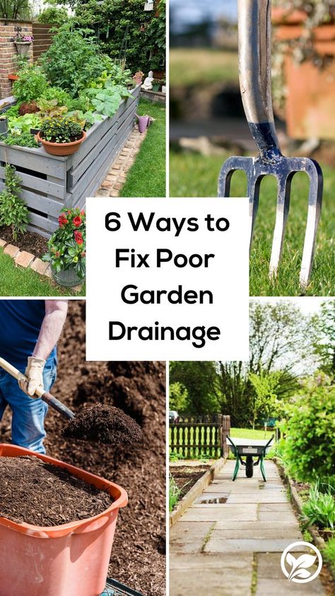 4 photos with tips on how to fix poor garden drainage: raised beds, piercing soil with garden fork, adding compost to the soil and creating path ways. Garden Drainage, Building Raised Beds, Drainage System, Soil Improvement, The Soil, Raised Beds, Fix You, New Builds, Garden Beds