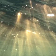 Ocean Gif, Waving Gif, Anne Bonny, Random Gif, Ocean Vibes, Aesthetic Gif, Ocean Waves, Cool Gifs, Aesthetic Wallpapers