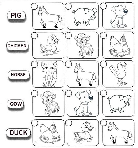 Animal English Worksheet, Farm Animals Worksheets For Kids, Pets Activities For Kids, Farm Animals Worksheet, Farm Animals For Kids, First Grade Reading Comprehension, English Grammar For Kids, Primary English, Grammar For Kids