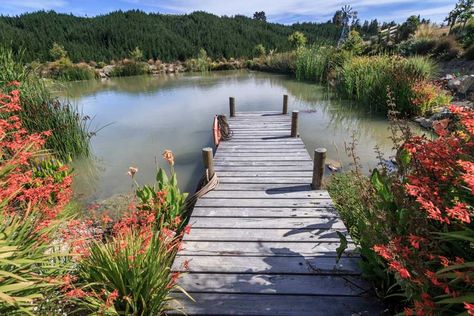 Pond Bridge, Farm Pond, Garden Ponds, Minimal House, Small Pond, Craft Painting, Pond Landscaping, Natural Pond, Pond Design