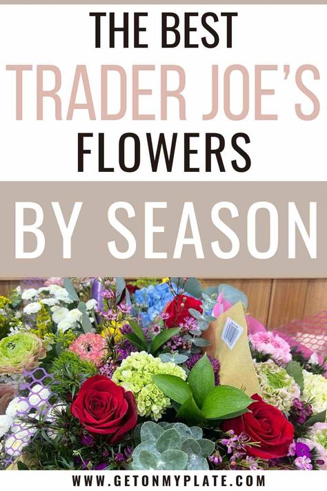 One of the biggest DEALS on the planet these days are Trader Joe's flowers! I am rounding up my favorites from the TJ's flower section! Trader Joe Floral Arrangement, Trader Joe’s Flowers For Wedding, Trader Joe Wedding Bouquet, Fall Trader Joes Flowers, Trader Joe's Wedding Flowers, Trader Joes Fall Flowers, Trader Joe’s Fall Flowers, Trader Joe’s Flowers Wedding, Diy Trader Joes Flower Bouquet