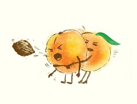 an apricot Tgif Funny, Cute Puns, Funny Illustration, Oprah Winfrey, Kid Tees, Cute Illustration, Make Me Smile, Design Shop, Creative Art