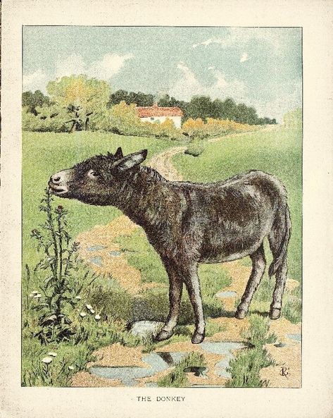 Donkey Decor, Donkey Images, Eating Flowers, Donkey Art, Cute Donkey, Ear Art, The Donkey, Vintage Farm, Animal Friends