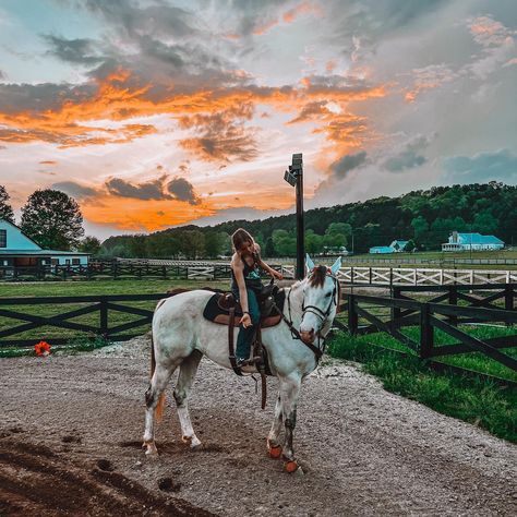 something in the orange ☀️ @savdor5 #western #horsesofinstagram #horses #sunset #punchy #aesthetic #barrelhorses #filter #barrelracing #barrelhorse #barrelhorsesofinstagram #fancybrokeofficial #orange #somethingintheorange #☀️ Western Horse Riding Aesthetic, Punchy Aesthetic, Brunette Cowgirl, Horses Sunset, Cowgirl Core, September Dump, Barrel Horses, Western Horse Riding, Equestrian Pictures