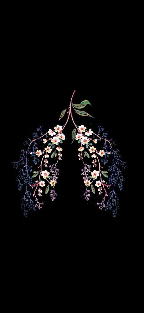 Lungs Art, Regnul Animal, Medical Wallpaper, Tiny Tattoo, Paintings Abstract, Soyut Sanat Tabloları, Pencil Sketches, Black Aesthetic Wallpaper, Aesthetic Pastel Wallpaper