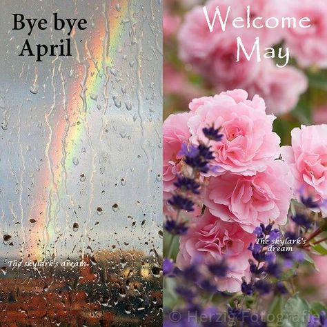 Hello #May Goodbye April Hello May, Monthly Greetings, Goodbye April, April Photo Challenge, April Hello, April Wallpaper Aesthetic, Spring Wallpaper Iphone, Aesthetic Spring Wallpaper, April Images