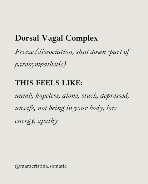 🔍 Understanding Our Nervous System Through the "Polyvagal Ladder" 🧠💡 Our autonomic nervous system operates like a highly coordinated team with three key players, engaging and recovering in a specific sequence. Let’s explore the "Polyvagal Ladder," a concept by Dr. Stephen Porges, made practical by Deb Dana. 1️⃣ Ventral Vagal Complex - This is the part of the parasympathetic branch that’s all about social engagement, connection, and safety. 🌟 THIS FEELS LIKE: Joy, connection, creativity, pla... Polyvagal Ladder, Dorsal Vagal Shutdown, Ventral Vagal, Dorsal Vagal, Stephen Porges, Feeling Unsafe, Freeze Response, Sympathetic Nervous System, Flight Response