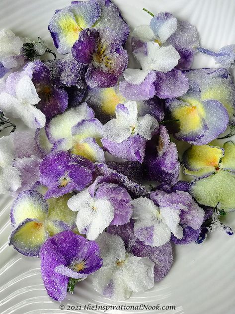 Edible cake flowers, candied flowers, sugar flowers for cakes, cupcake topper, candied pansies, crystallized violas, Virginia Blue bells Edible Flowers Cupcakes, Sugared Pansies, Sugared Flowers, Floral Desserts, Pretty Pink Cupcakes, Candied Flowers, Cookies Crumble, Daffodil Cake, Flower Recipe