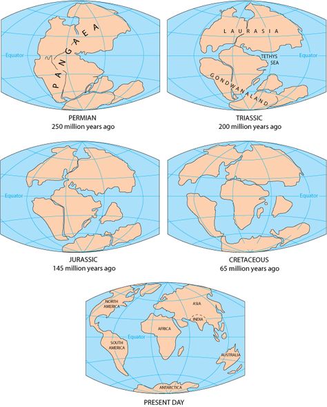 According to the continental drift theory, the supercontinent Pangaea began to break up about 225-200 million years ago, eventually fragmenting into the continents as we know them today. Continental Drift Theory, Homo Habilis, Continental Drift, Geography Map, Plate Tectonics, Ancient Maps, World Geography, Historical Maps, Earth Science