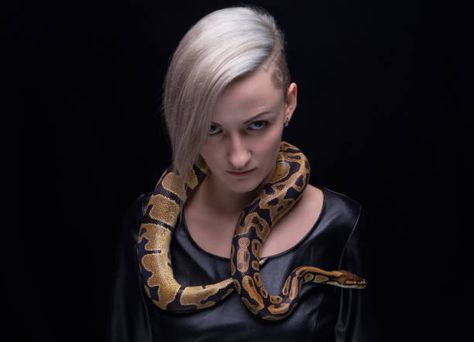 797 Snake Around Neck Stock Photos, Pictures & Royalty-Free Images - iStock Snake Around Neck, Dangerous Temptation, Neck Photo, Hanged Man, The Hanged Man, Neon Aesthetic, Oracle Cards, Royalty Free Images, First Time