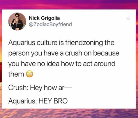 Aquarius Funny Hilarious, Aquarius Funny, Aquarius Aesthetic, Aquarius Truths, Aquarius Life, Aquarius Quotes, Aquarius Horoscope, Aquarius Sign, Narcissistic People