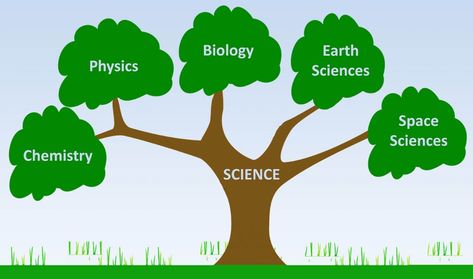 Branches of Science | Good Science Environmental Chemistry, Branches Of Science, Green Chemistry, Conservation Biology, Modern Physics, Theoretical Physics, Physical Chemistry, Medical Laboratory Science, Physical Geography