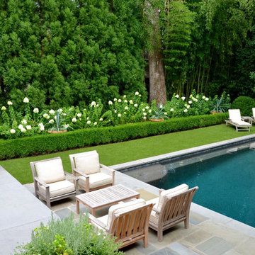 Small Private Garden, Carex Comans, Evening Cocktails, Pool Deck Ideas, Family Backyard, Pool Landscape Design, Ellen Pompeo, Backyard Pool Landscaping, Vacation House