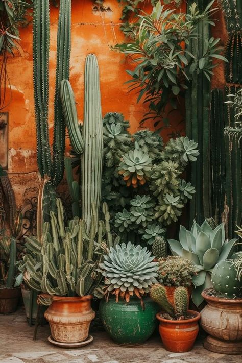 Tropical Oasis Aesthetic, Cactus In Pots Outdoor, Mexican Garden, Arizona Decor, Cactus House Plants, Desert Decor, Plant Aesthetic, Front Yard Garden, Desert Plants