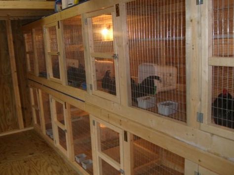 Poultry Breeding Pens, Bantam Chicken, Chicken Brooder, Chicken Barn, Bantam Chickens, Chicken Pen, Backyard Chicken Coop Plans, Diy Chicken Coop Plans, Backyard Chicken Farming