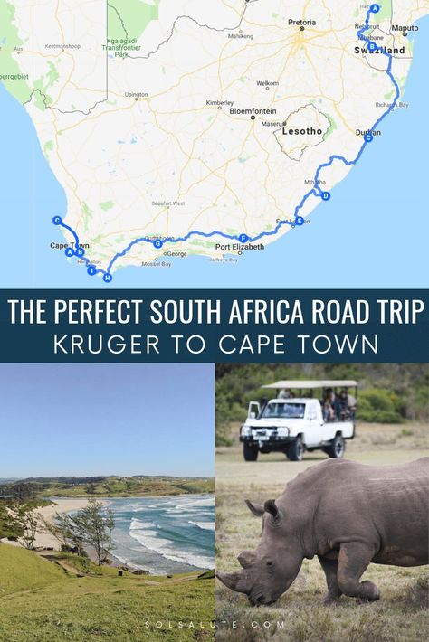 The perfect road trip in South Africa itinerary | South Africa road trip itinerary | one month in South Africa, Kruger National Park, Cape Town, Safari in South Africa, 30 days in South Africa roadtrip, South Africa road trip, Kruger National Park, Cape Town, The Wild Coast, Addo Elephant Park and Wine Tasting in Stellenbosch #SouthAfrica #Africa South Africa Road Trip Map, Road Trip South Africa, Wild Coast South Africa, Africa Road Trip, South Africa Road Trips, South Africa Itinerary, South Africa Vacation, Africa Itinerary, Elephant Park