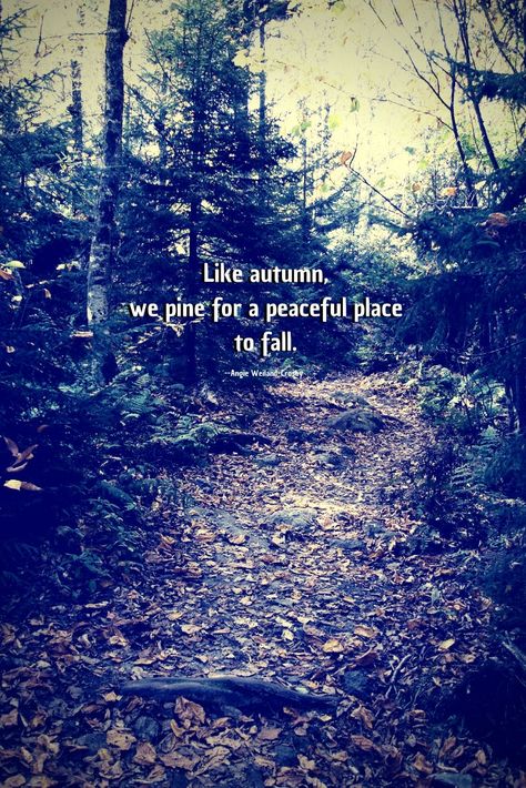 grief quote with autumn forest...Like autumn, we pine for a peaceful place to fall. Supportive Quotes, Quirky Sayings, Autumn Poetry, Forest Quotes, Leaf Quotes, Nature Quotes Inspirational, Autumn Quote, Forest Backdrop, Fall Quote