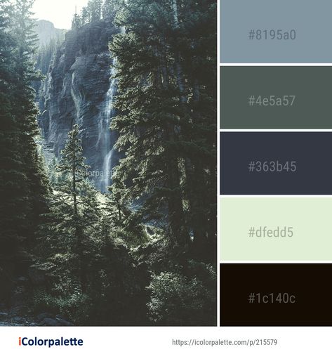 Color Palette Misty Color Palette, Rainy Forest Color Palette, Pacific Northwest Color Palette, Medieval Color Palette, Mountain Color Palette, Water Forest, Color Palette Ideas, Colors Inspiration, Hex Color Palette