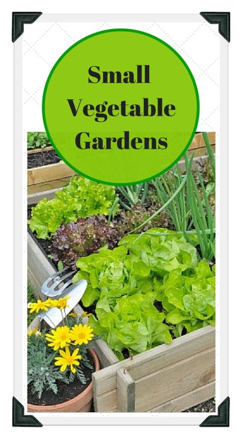 Learn all about small vegetable gardens; from raised bed gardening, to container vegetable gardens, to small backyard garden plans! Use our free online Vegetable Garden Planner, zone chart, planting guide, and worksheets to plan a garden that works for you! Small Vegetable Patch Ideas, Backyard Garden Plans, Vegetable Garden Plans, Container Vegetable Garden, Plan A Garden, Small Backyard Garden, Small Vegetable Garden, Raised Bed Gardening, Vegetable Garden Beds