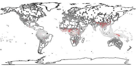 Tonal languages require humidity Languages with a wide range of tone pitches have primarily developed in regions with high levels of humidity. Languages in humid regions of the Earth (light circles) are more often tonal languages (red) than in dry regions. Uk Bedroom, Map Monde, World Map Tapestry, Map Wall Decal, Ship Map, Map Making, World Map Decal, Map Decal, Beige Wall