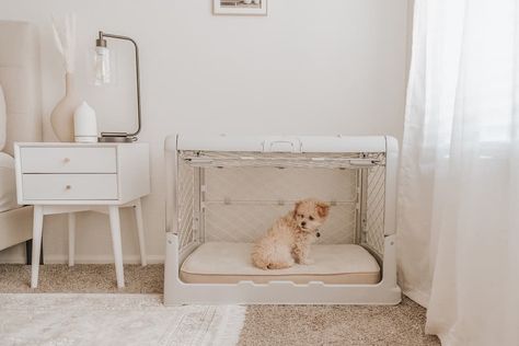 Decorative Dog Crates, Collapsible Dog Crate, New Puppy Checklist, Eclectic Homes, Wooden Dog Crate, Puppy Crate, Dog Crates, Dog Crate Furniture, Puppy Birthday