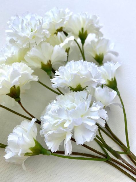 White Carnations Aesthetic, White Carnation Bouquet, Wedding Recipes, Babies First Birthday, Ashley Lee, Diy Cake Decoration, Grad 2023, White Carnations, Carnation Bouquet