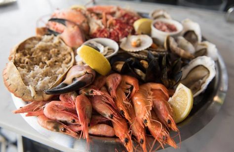 How to create a show stopping seafood platter Fish Platter Ideas, Seafood Platter Ideas, Cold Seafood Platter, Platter Ideas, Cooking Recipes For Dinner, Fish Restaurant, Fish Platter, Fresh Oysters, Seafood Platter