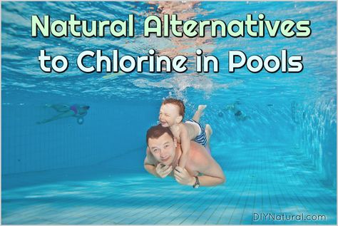 Natural Alternatives To Chlorine In Swimming Pools Chlorine Free Pool, Safe Pool, Swimming Pool Filters, Pool Care, Natural Alternatives, Stock Tank Pool, Baby Pool, Pool Chlorine, Natural Pond