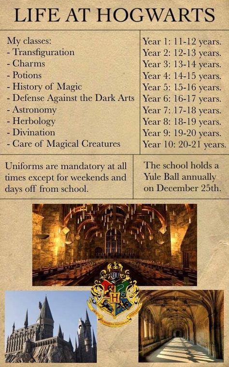 Marauders Era Shifting Script, Marauders Dr Script, Marauders Shifting Script, Harry Potter Desired Reality, Hogwarts Dr Script, Harry Potter Shifting Script, Marauders Script, Harry Potter Infographic, Hogwarts Script