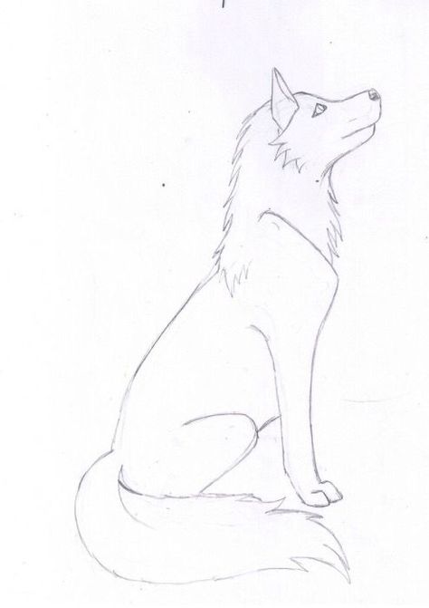 Wolf Drawing Easy, Animal Sketches Easy, Drawing Wolf, Husky Drawing, Wolf Sketch, Dog Drawings, Easy Animal Drawings, Animal Templates, Easy Animals