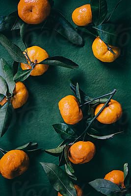 Tangerine Aesthetic, Macro Fotografie, Visuell Identitet, Fruit Wallpaper, Fruit Photography, Scent Notes, Food Wallpaper, Orange Aesthetic, Instagram Food