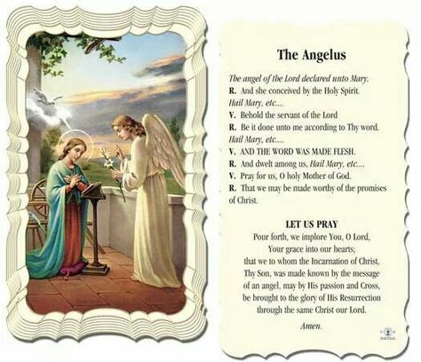 The Angelus Prayer Angelus Prayer, The Angel Of The Lord, The Angelus, Angel Of The Lord, Catholic Prayers Daily, Prayer For My Children, Dark Spots On Face, Prayer Changes Things, Beautiful Prayers